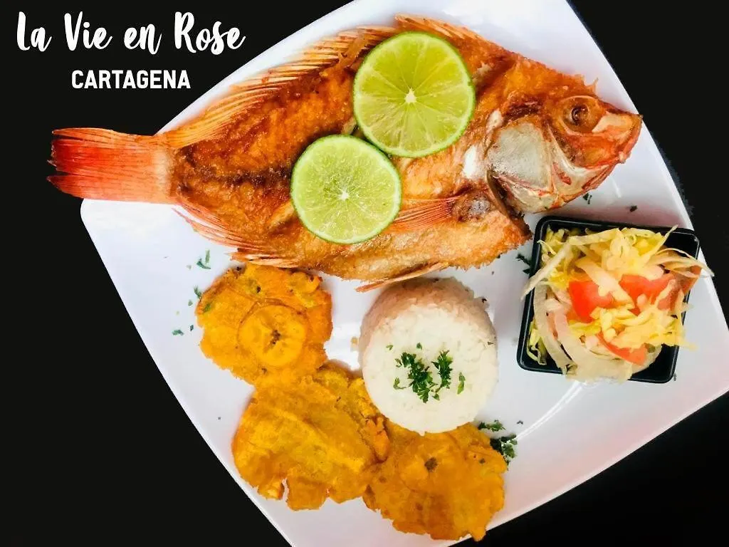 Casa Hostal La Vie En Rose Cartagena Inn
